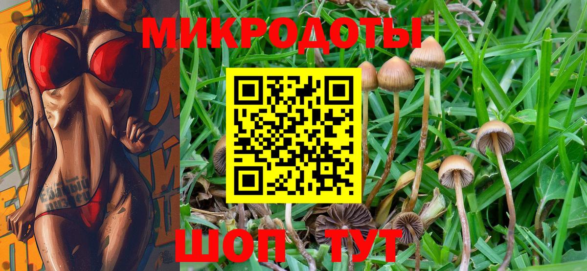 Псилоцибиновые грибы GOLDEN TEACHER  Вход с VPN  Лесозаводск 